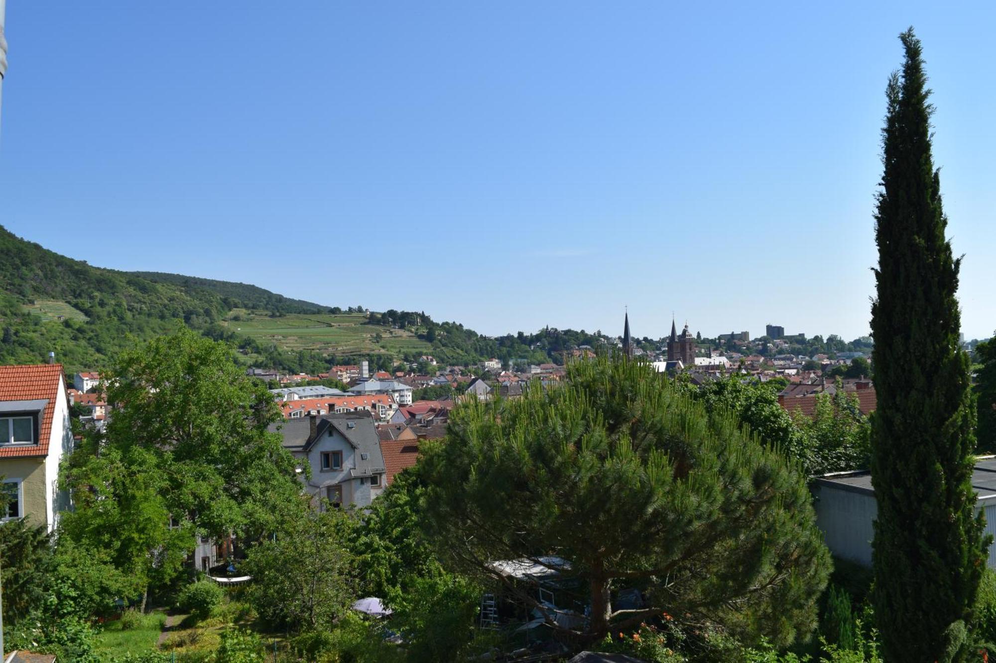 Ferienwohnung Ruth Neustadt an der Weinstraße Εξωτερικό φωτογραφία