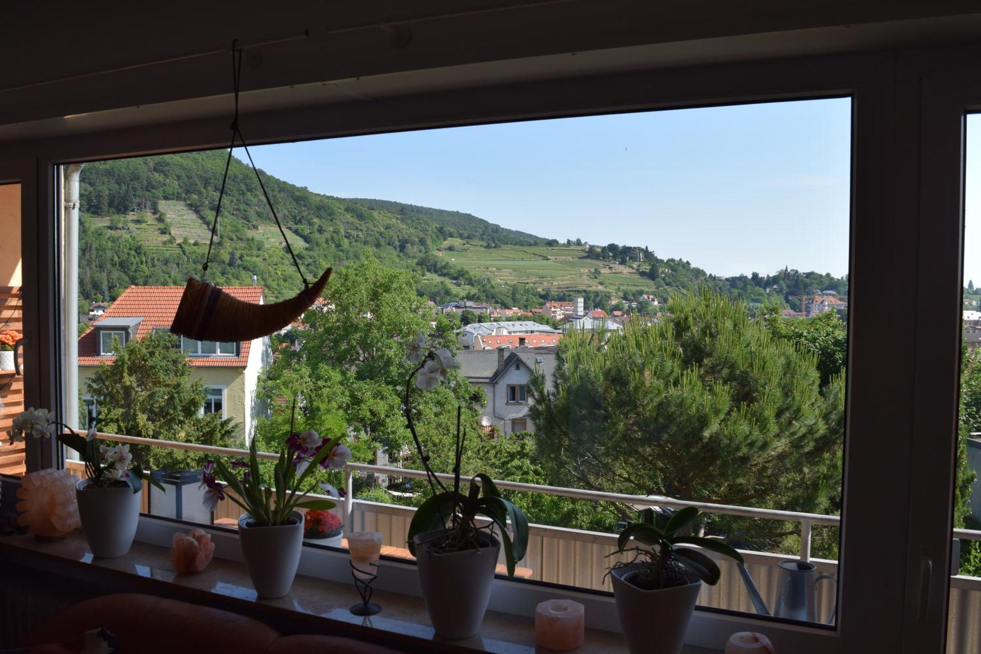 Ferienwohnung Ruth Neustadt an der Weinstraße Εξωτερικό φωτογραφία